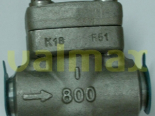 Check Valve, 800 LB, 1 Inch, Piston Type, Bolted Cap