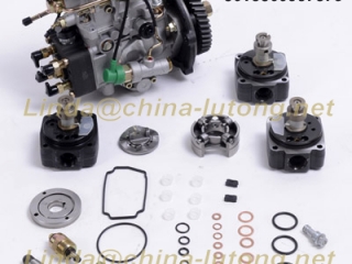 Head Rotor 146400-8821 For ISUZU VE Pump Parts